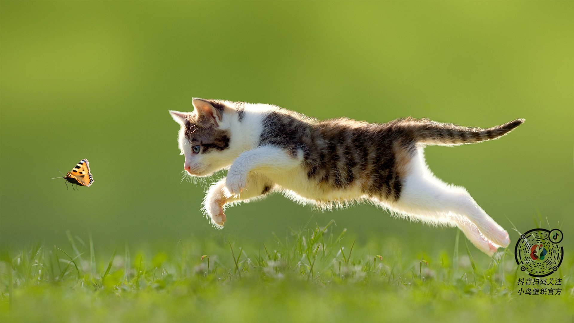 中小学体育课外活动管理优化策略,中小学体育课外活动管理优化策略研究