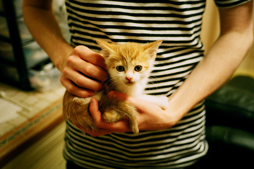 九游网页版入口-德甲防守协作效率与抢断次数的定量分析，德甲战术