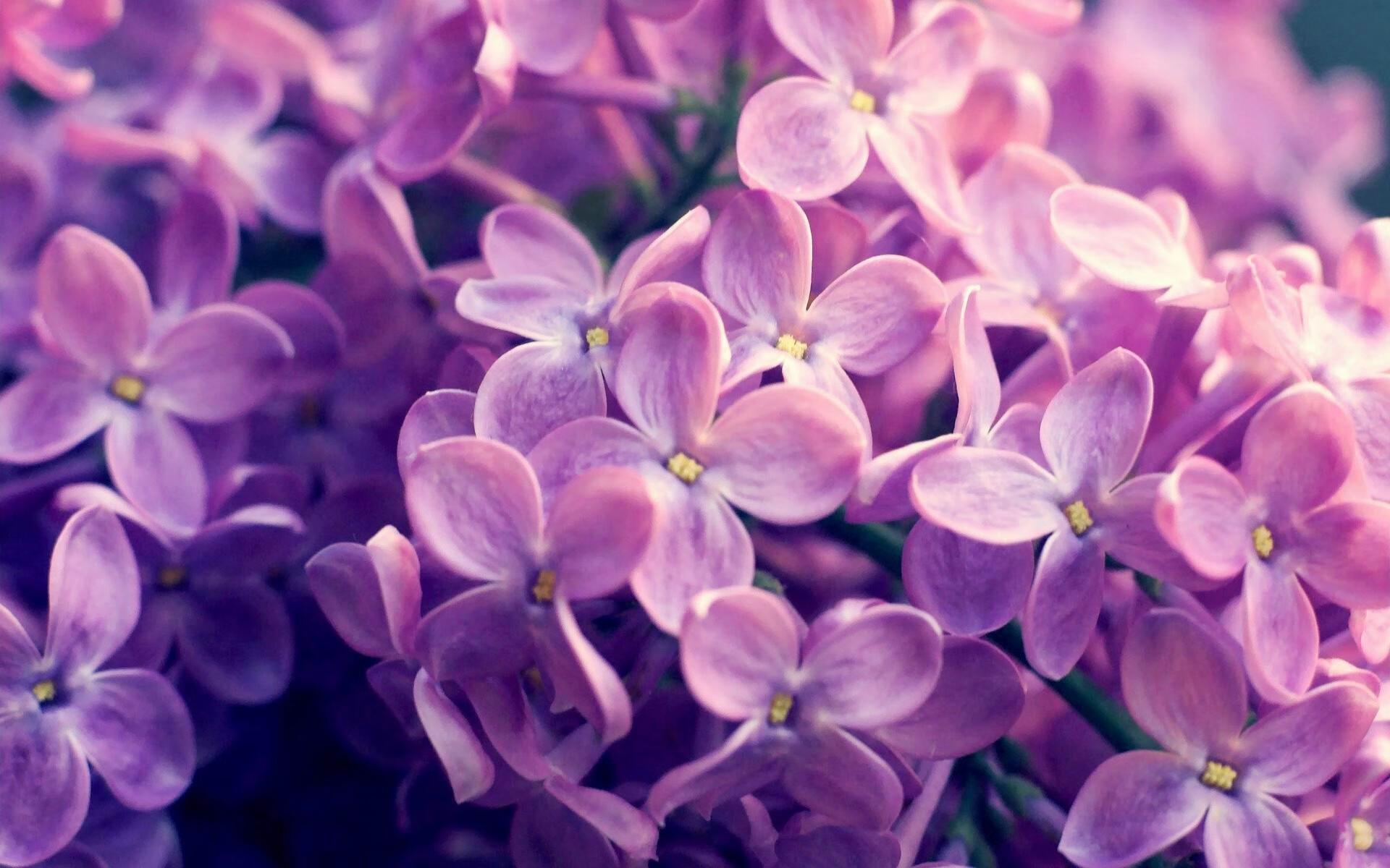 法甲球员视觉-认知训练对战术执行延迟反应的缓解效果