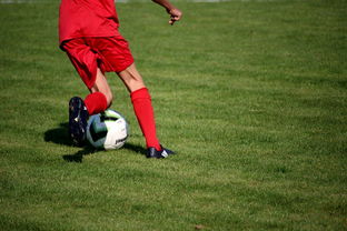 九游网页版官网-篮球专项技能训练标准体系建设，篮球专项训练方法和手段