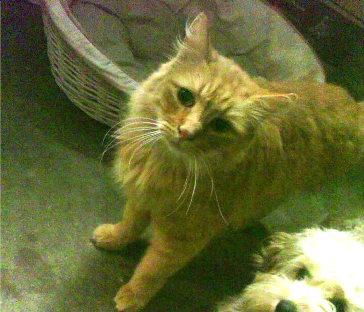 体育医疗急救演练走进体育赛事现场,体育急救知识读后感