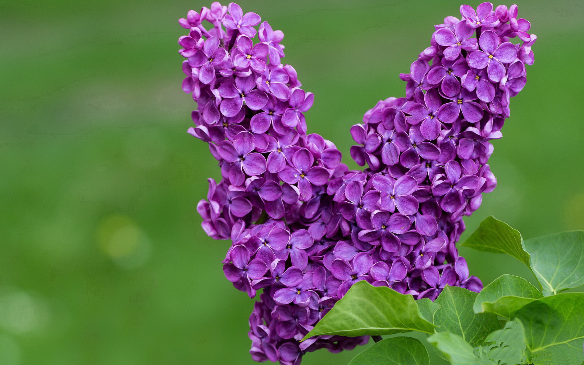 九游app官网下载-体育新闻中心推动传统体育文化影像国际化传播，中国体育文化传播的主线重构