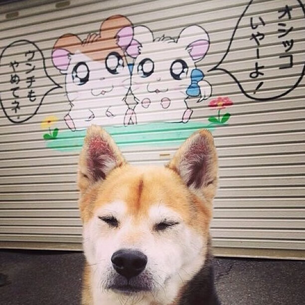 “马科斯·梅特罗:阿根廷美洲狮队的全能球员,未来必将更加耀眼”