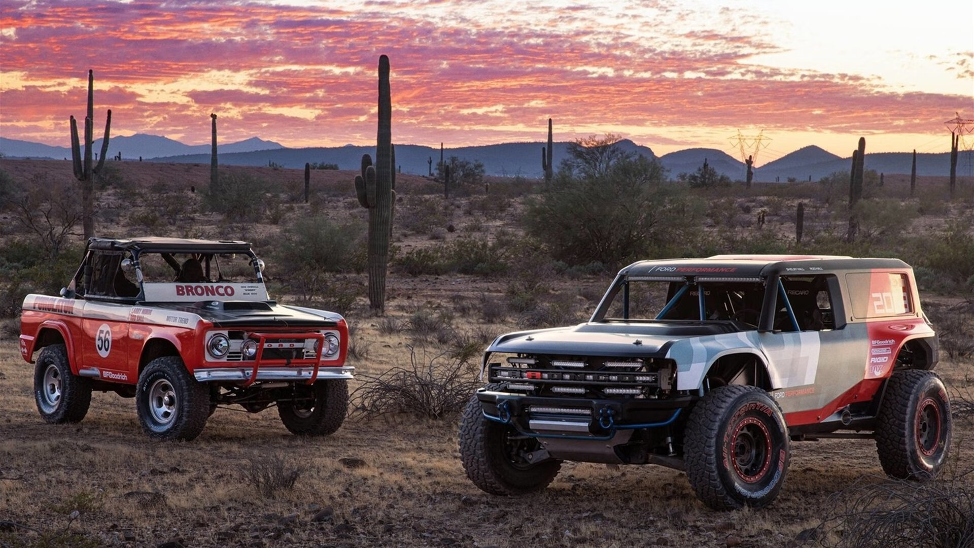 世界杯激情不断:每场都精彩绝伦!,世界杯激动人心时刻