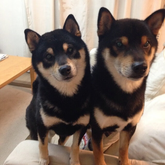 勇士新秀完成签约家人现场见证激动落泪，2020nba勇士新秀