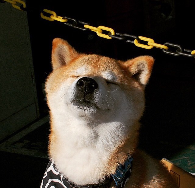 格鲁吉亚女篮在欧洲锦标赛中表现优异,期待突破,格鲁吉欧女王vs