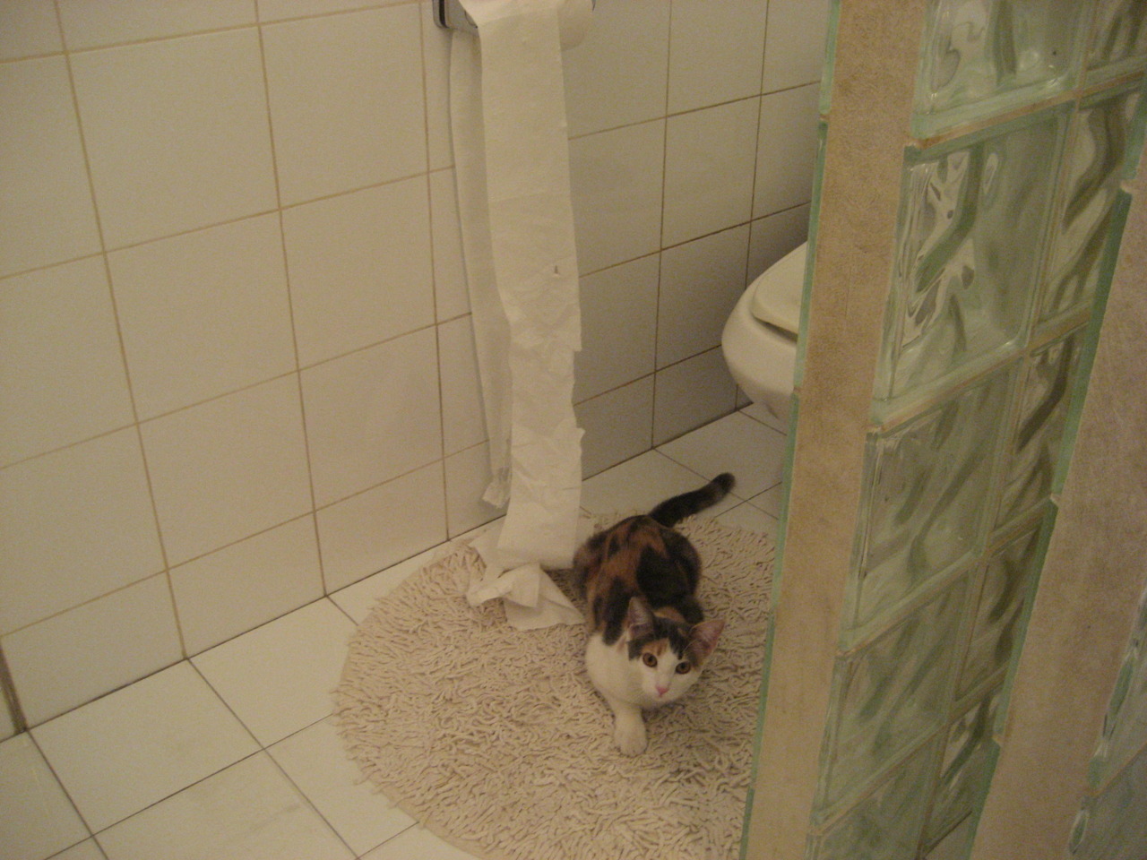 欧洲杯的赛事安全保障体系,欧洲杯赛制改革