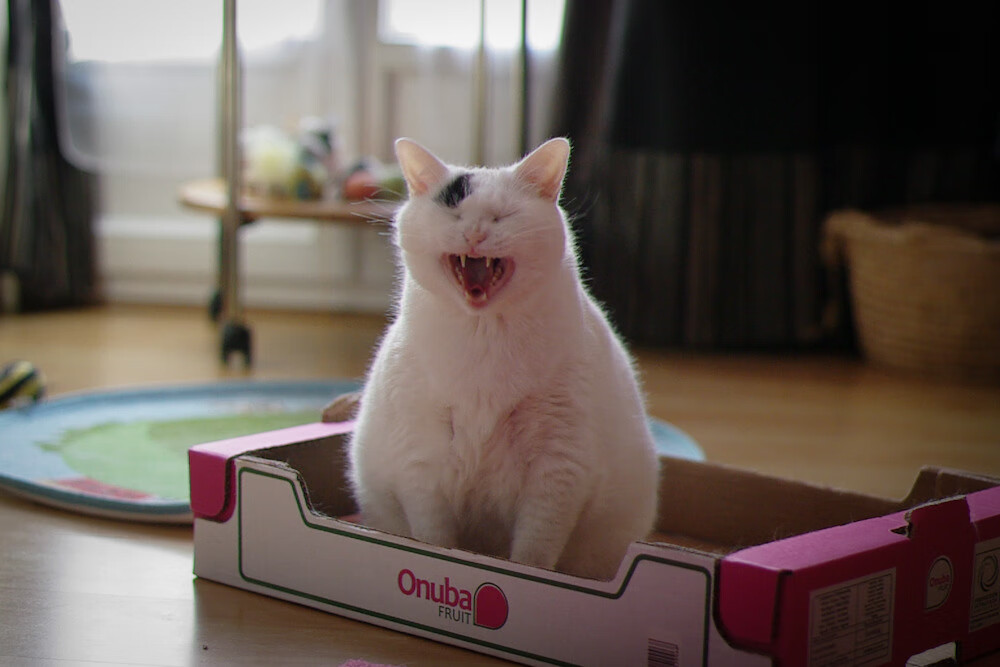 瑞·弗兰：凭借强大的爆发力，他成为了全黑队进攻中的威胁存在