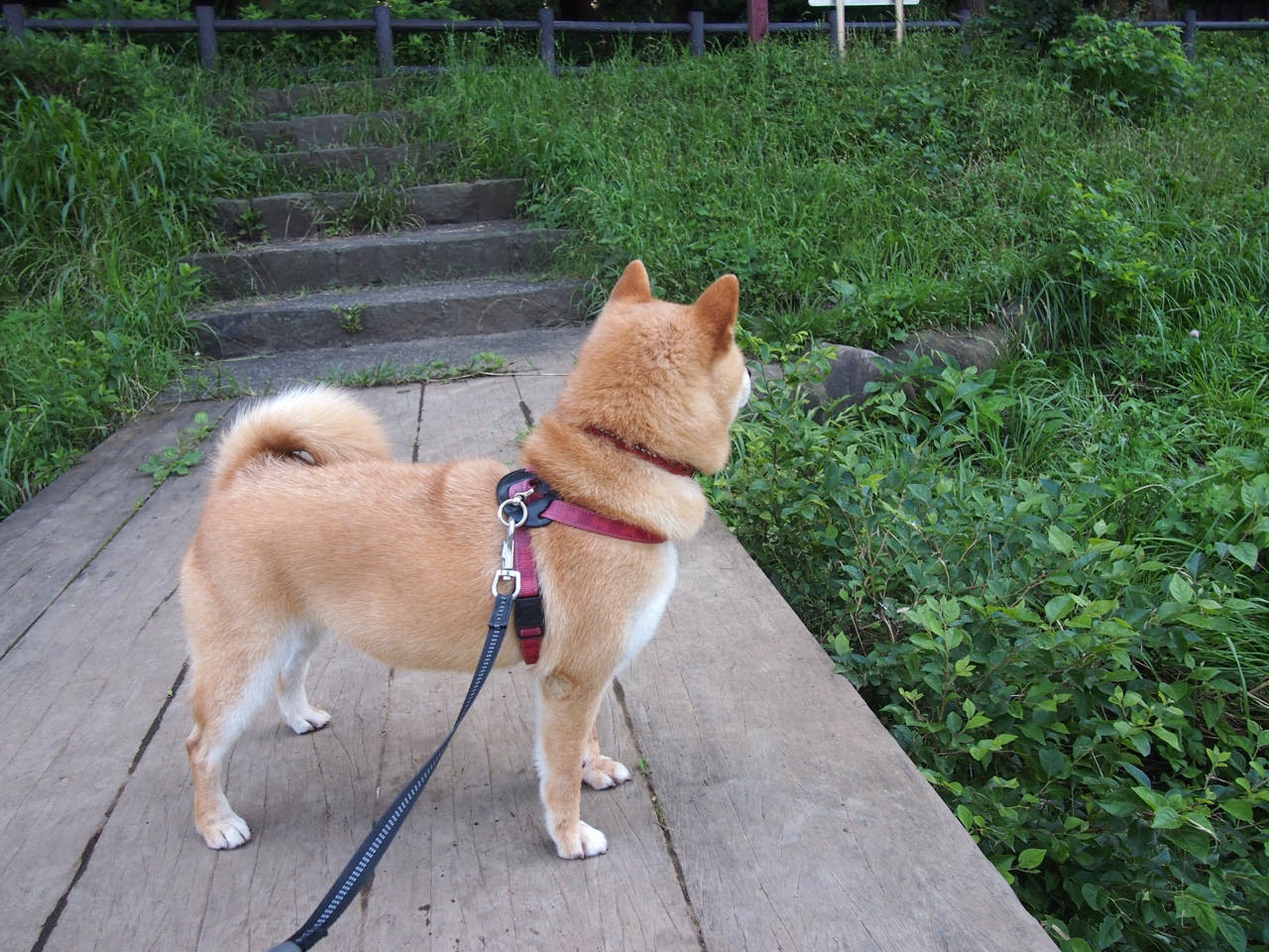 训练中心设立技能评比日强化球员间良性竞争氛围，技能训练方案怎么写