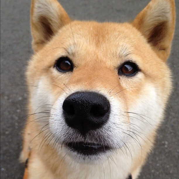 霍特·巴雷特:凭借冷静的决策和出色的视野,成为全黑队不可或缺的领导者