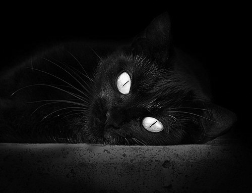 高校篮球引入体能评分机制辅助教练调整训练内容,大学体育篮球考核标准