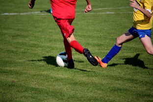 九游娱乐官网 (JIUYOU)-中国足球青训联盟举办多层次足球比赛，中国足协青训中心