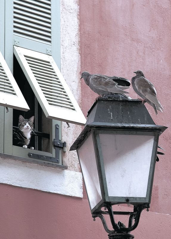 决赛门将多次关键扑救维持比分优势，2021五大联赛门将扑救成功率