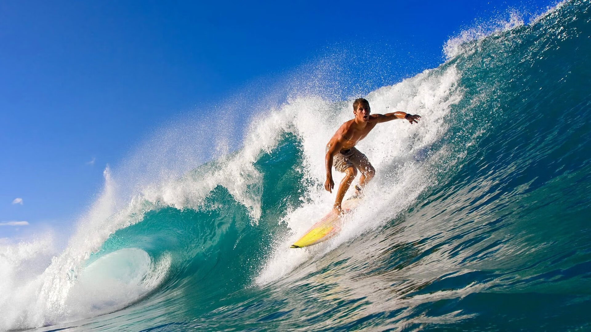 世界大学生攀岩锦标赛 中国选手速度攀项目三连冠